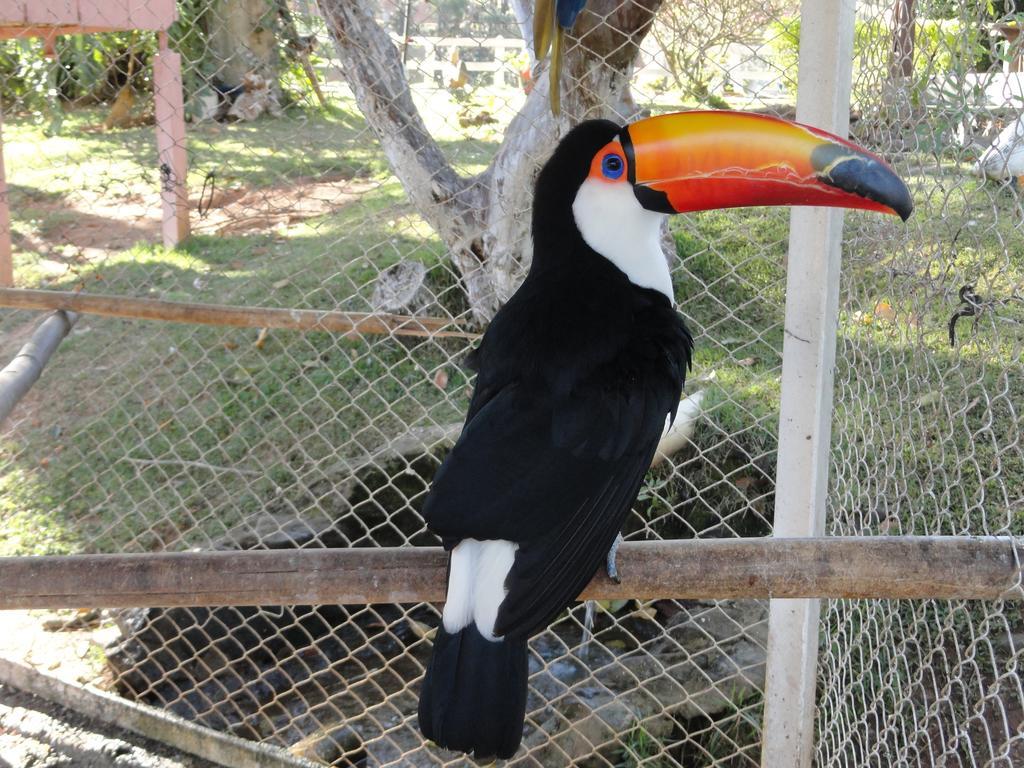 Hotel Fazenda Floresta Do Lago Socorro  Kültér fotó